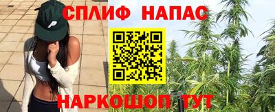 сатива Апшеронск