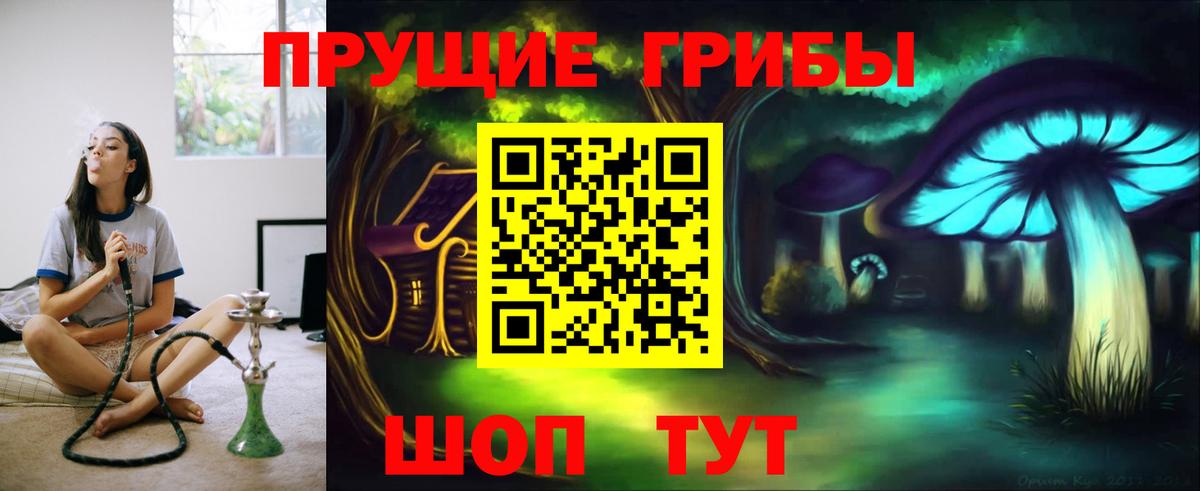 Вятские Поляны  Галлюциногенные грибы ЛСД  Вход с VPN 